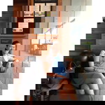 Shaira Mae Pineda Santiago profile icon