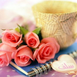 Ima Naim Wardaniah profile icon