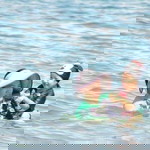 JT Corpuz profile icon