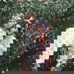 Ayu Sri profile icon