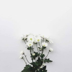 sitti kurniawati profile icon