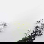 sitti kurniawati profile icon