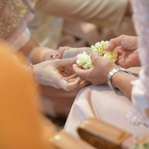 Bsandnct Wnp profile icon