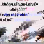 Cần Lắm profile icon