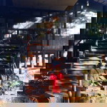 Ida Ikin profile icon