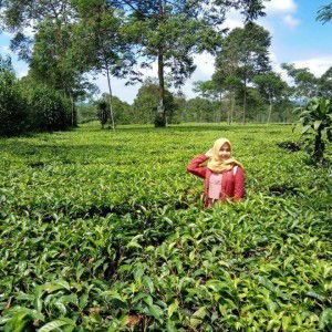 Siska Afrillia profile icon