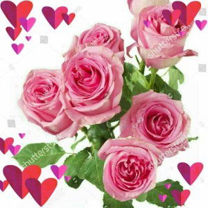 รรินทร์ วรสกุล profile icon