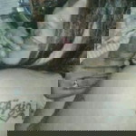 Azia Sabharwal profile icon