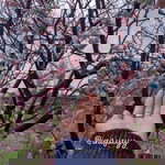 Suci Indah Sari profile icon