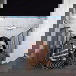 ฮัลโหล' พอย profile icon