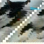 Rachmawaty profile icon