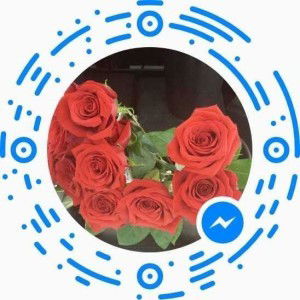 Zain Khan profile icon