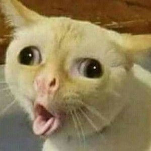 LUNASNOW profile icon