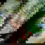 Chanun Chanunchida profile icon