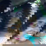 Rose Anthony profile icon