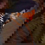 Ammy .. profile icon