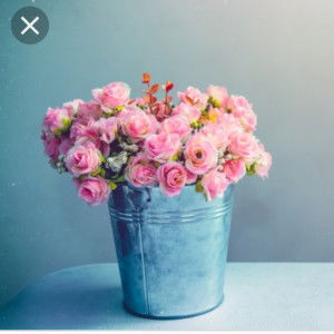 Gopika S profile icon