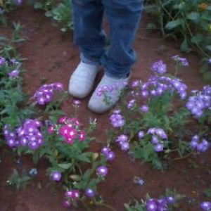 Pooja Jain profile icon