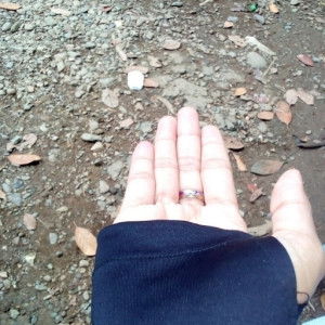 Ineng Jenong profile icon