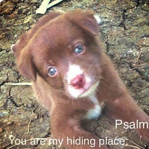 Josephine Bulado profile icon