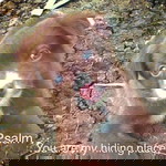 Josephine Bulado profile icon