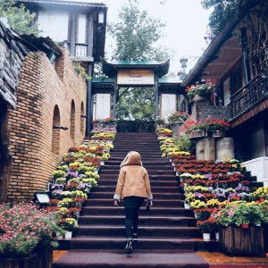 Thi Nguyễn profile icon