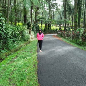 titik wulandari profile icon