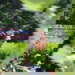 Niyati Patel Amin profile icon