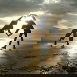 siti nur annisa profile icon