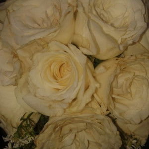 Ari Puspa Harini/ Puspa Rini profile icon