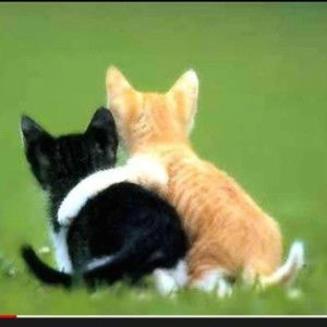 Nur Mellysa profile icon