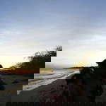 Carenan Palmares Ivy profile icon