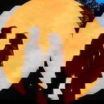 Elya Dyana Mustafa profile icon