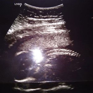 박민지 profile icon