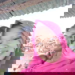 Arnie Prasetyo profile icon