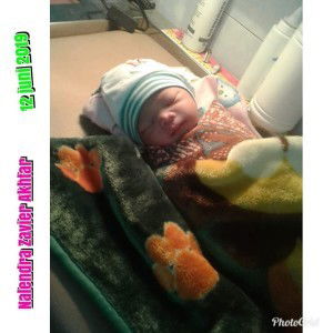 Dina Ash Sheiidiq profile icon