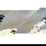 ทัศนีย์ ขวัญสุวรรณ์ profile icon