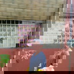 Ella Maldos profile icon