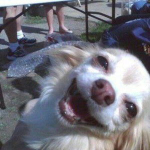 แอม สีนวล profile icon