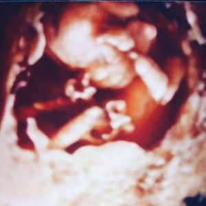 Brittany Hisfaever Whitted profile icon