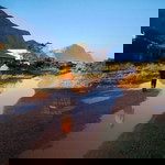 Stellie Lalla profile icon