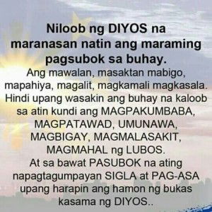 DianaRose P DelaCruz profile icon