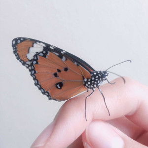 ลูกของฉัน profile icon