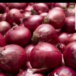 Bawang Merah profile icon