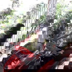 J Yoti Lawate profile icon