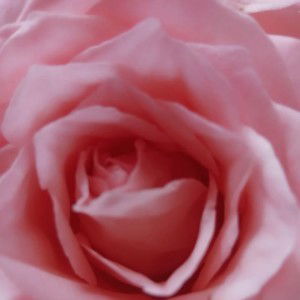 Sitti Aisha Ishak profile icon