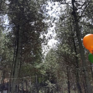 Adinda woro profile icon