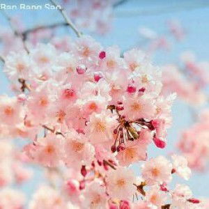 Pongzaa6419@gmail.com Op54321 profile icon