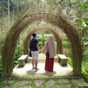 Dina Agustriana profile icon