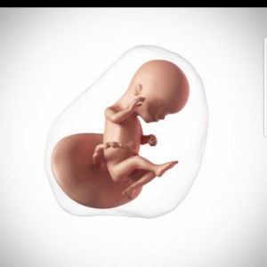 Mamshie profile icon